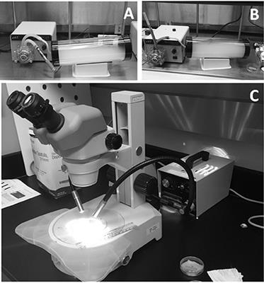 The Effects of Electronic Cigarette (ECIG)-Generated Aerosol and Conventional Cigarette Smoke on the Mucociliary Transport Velocity (MTV) Using the Bullfrog (R. catesbiana) Palate Paradigm